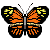Monarch butterfly